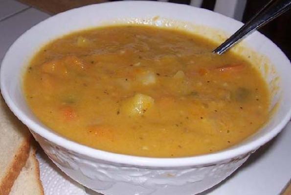 Hotový recept na mrkovou polévku