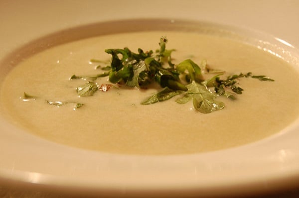 Chutný hotový recept na krémovou pórkovou polévku se smetanou.