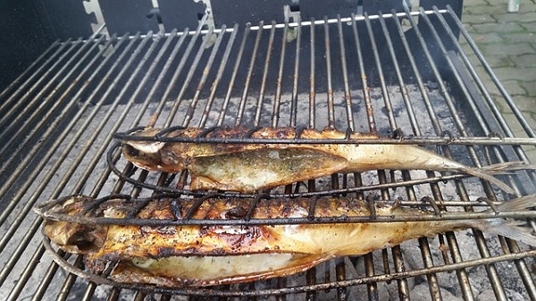 Recept na grilované ryby – nejlepší grilovaná makrela