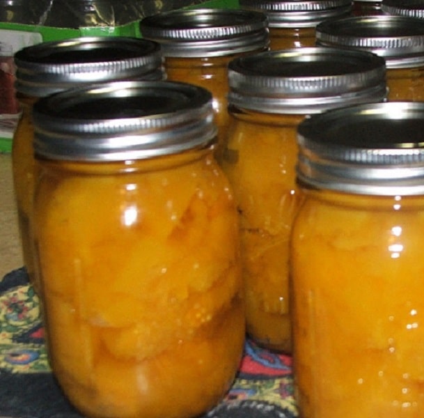 Pickled pumpkin in canning jars.