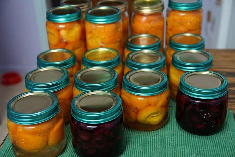 Meruňky naložené v zavařovacích sklenicích.
