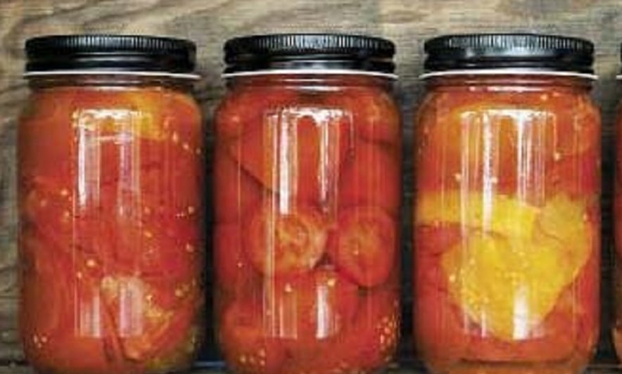 Nakládaná rajčata v zavařovacích sklenicích.