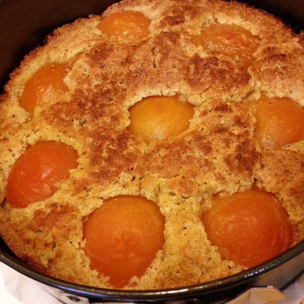 baked cake with apricots