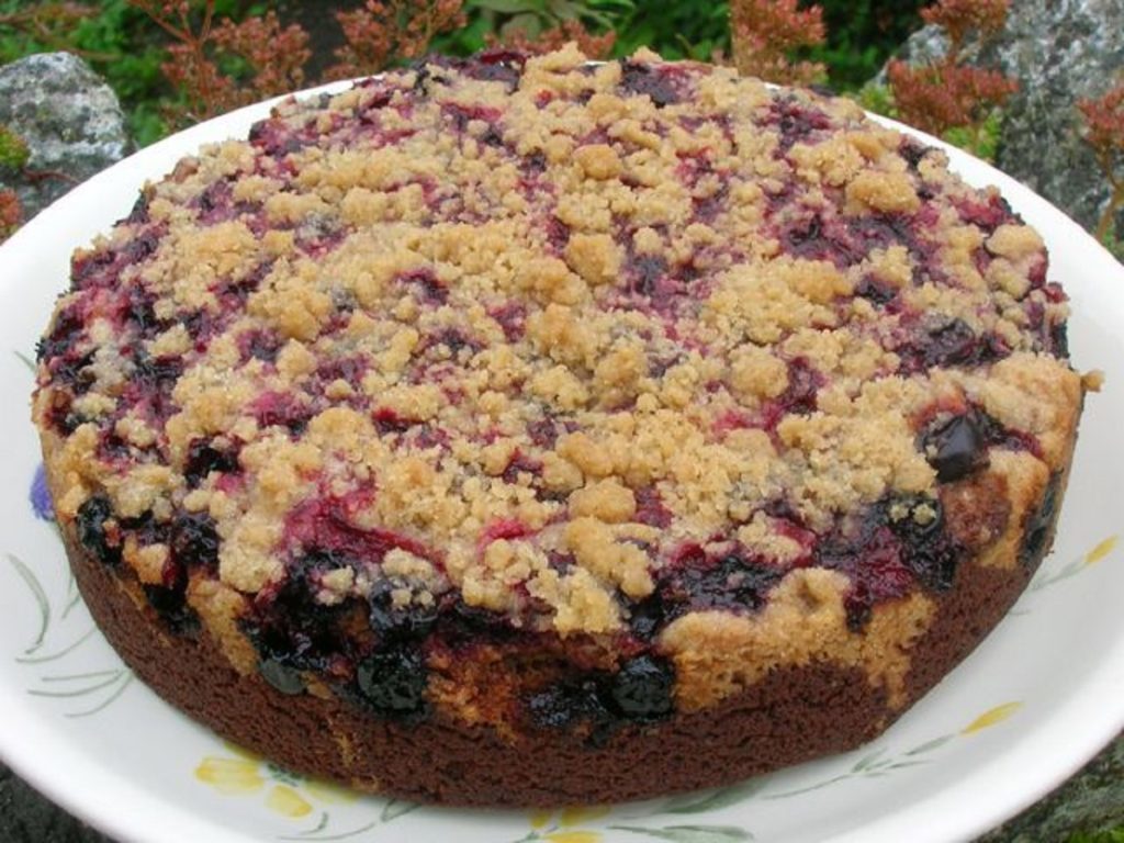 round cake sprinkled with blackcurrants and crumbs