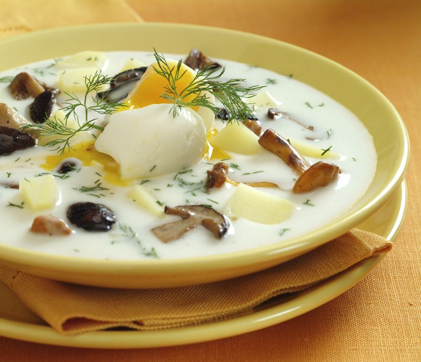 Poctivá kulajda z Krkonošska je polévka plná hub.