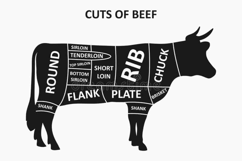 Diagram of where we find the beef navel on a cow