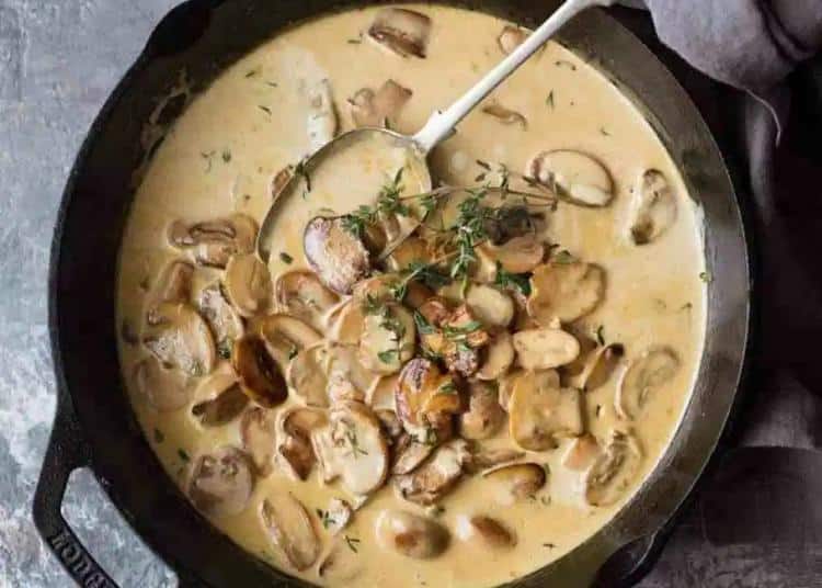 Stewed beef with slices of mushrooms in a cheese-cream sauce
