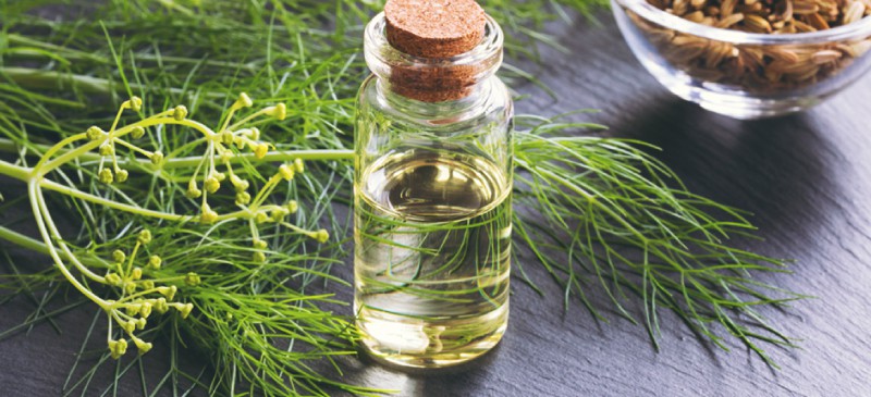 Fennel oil in a bottle and fennel hair.