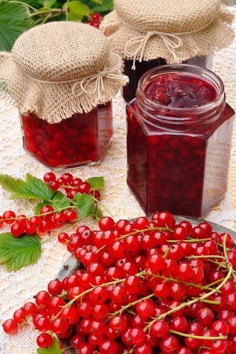 Currants flavored like cranberries in mason jars with fresh currants placed next to them.