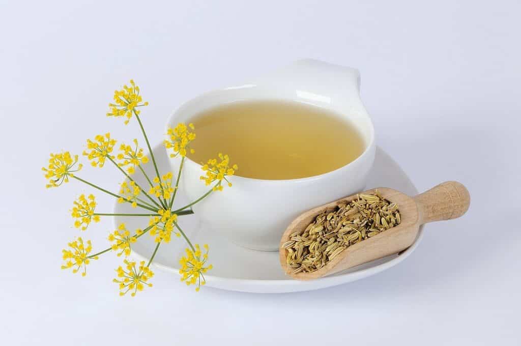 Fennel tea in a mug and fennel seeds.