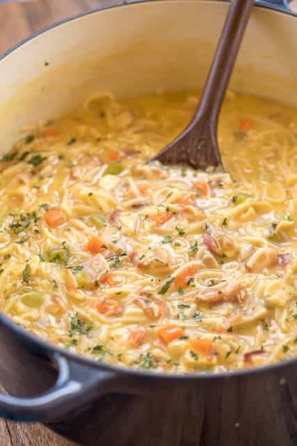 Suppe mit Hühnerfleisch, Gemüse und Nudeln.