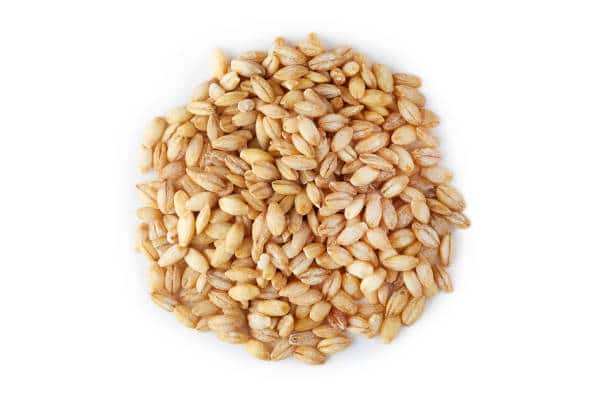 A handful of hulled barley