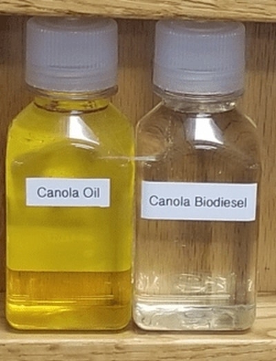Eine Flasche Rapsöl und Biodiesel aus Rapssamen.