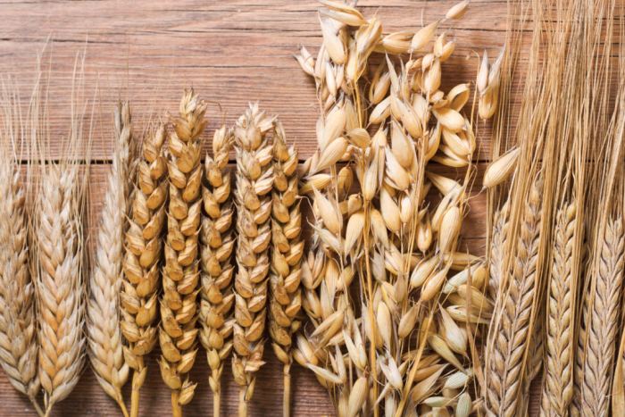 Different types of grain.
