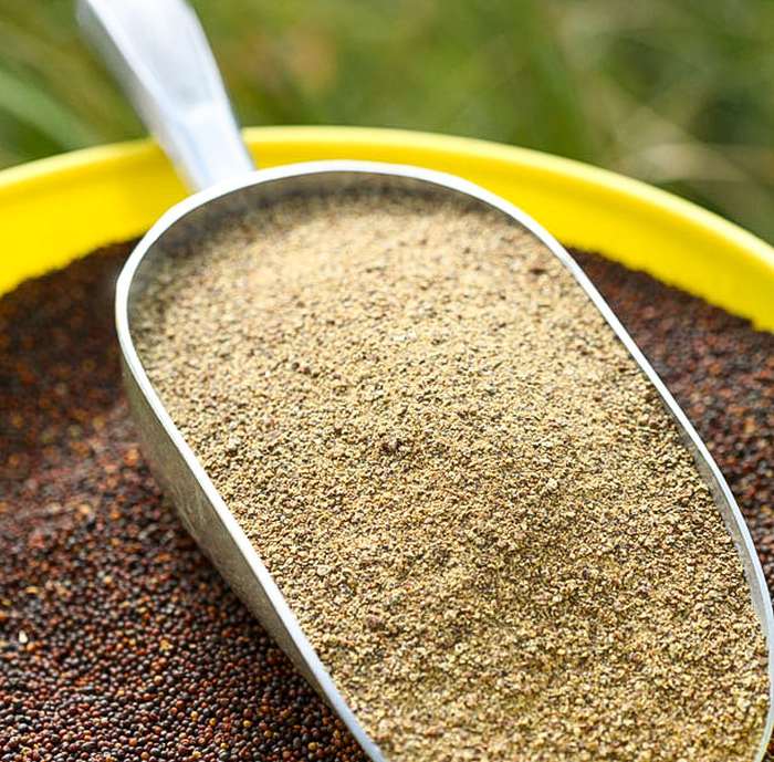 Rapeseed meal as one of the ways of using rapeseed oil.