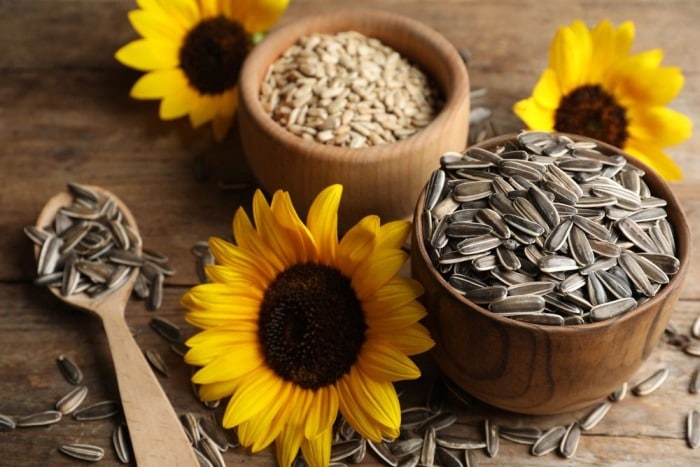 Sunflower seeds, shelled and unshelled.
