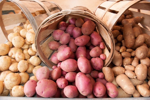 Různobarevné odrůdy brambor v koších.