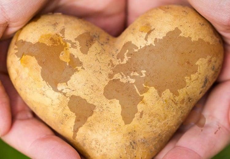 Potato in the shape of a heart with a map of the world.