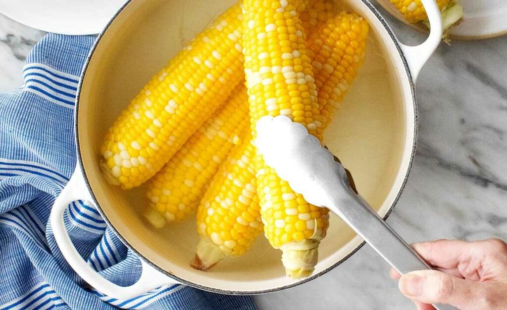Corn on the cob in a pot, picked with tongs.