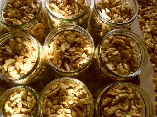 Several mason jars with walnut kernels.