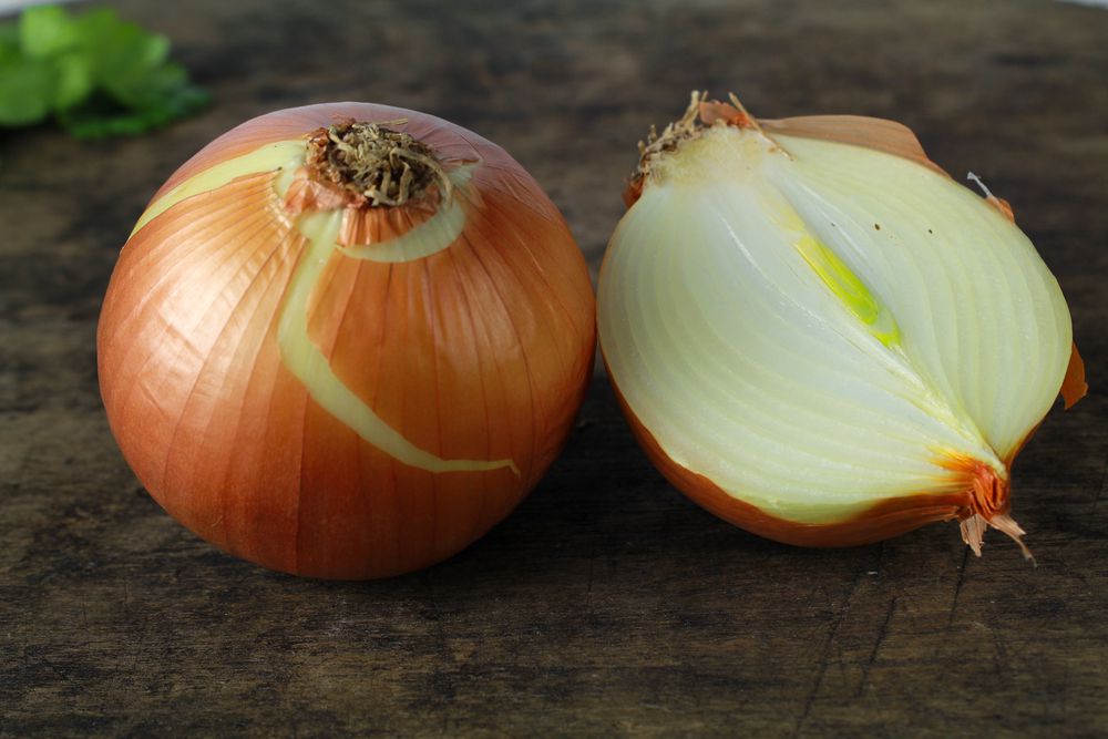 Two yellow onions with skin