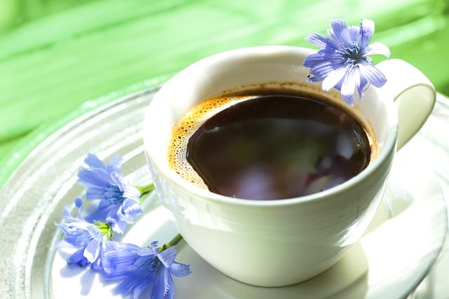 Chicory coffee