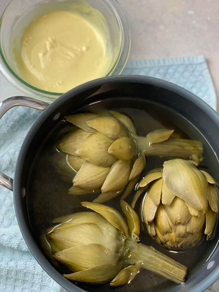 Cleaned fresh artichoke, ready to cook in water.