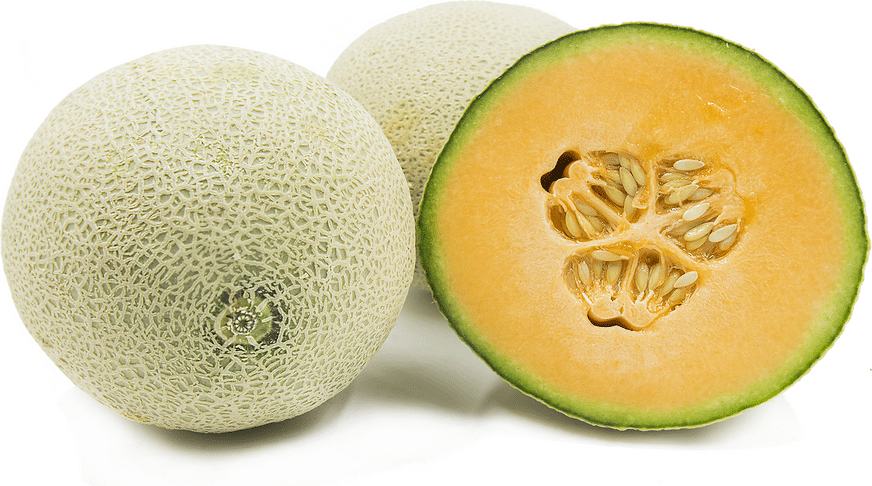 Cantaloupe-Zucker-Ananas-Melone