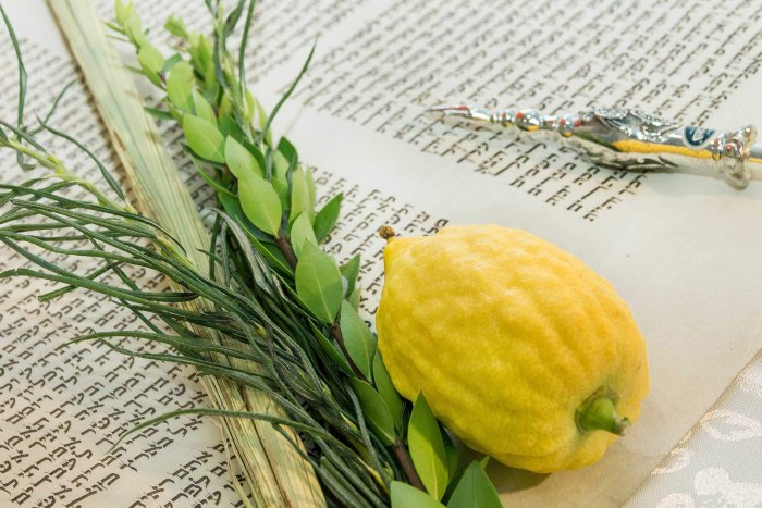 Citron as an important part of the Jewish holiday of Sukkot.