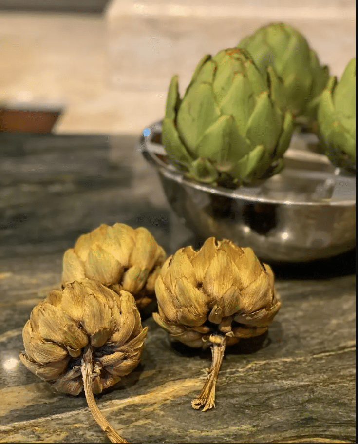 Difference between fresh and dry artichoke.