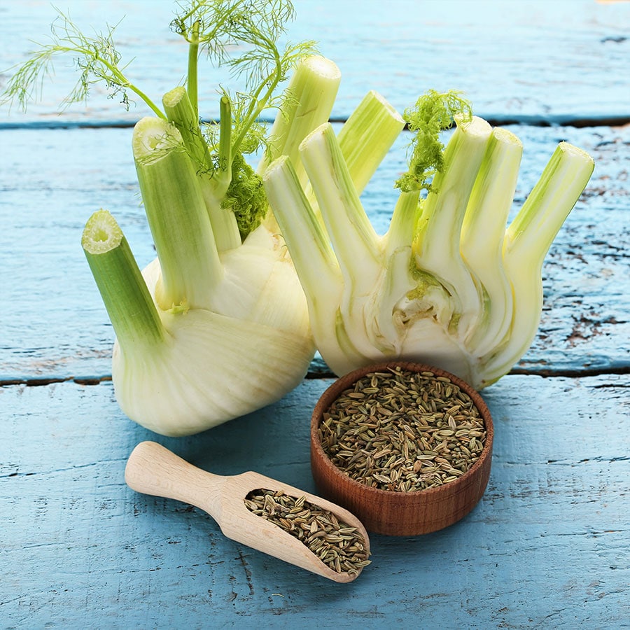 Fresh fennel with a scoop full of fennel seeds.