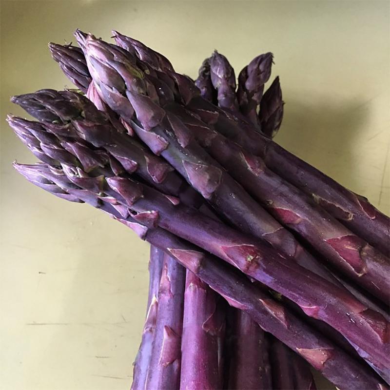 Purple asparagus stacked on top of itself.
