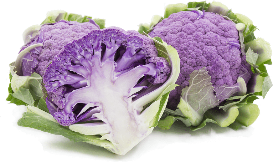 Cauliflower variety purple