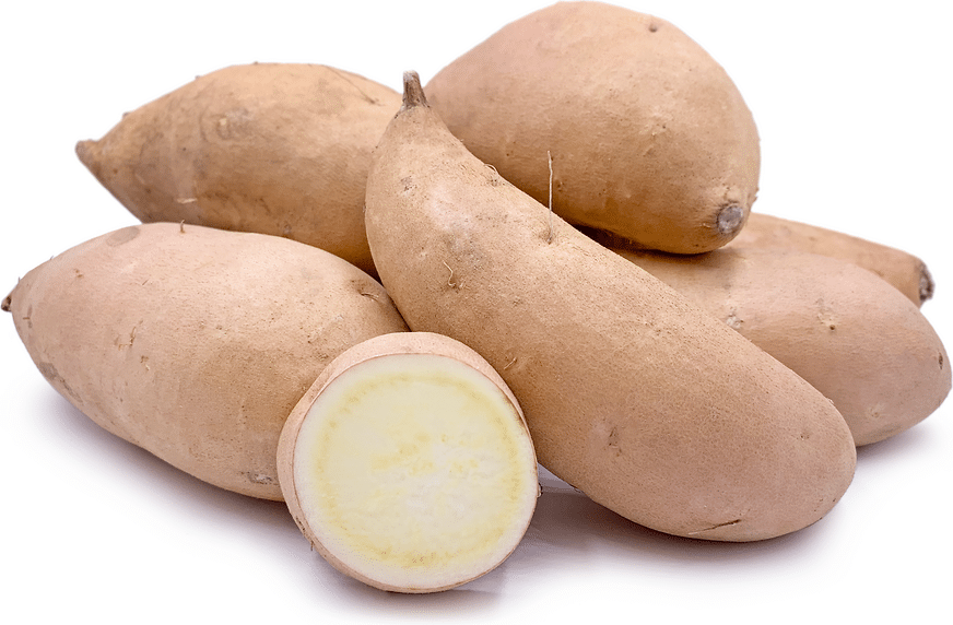 Hannah sweet potato variety