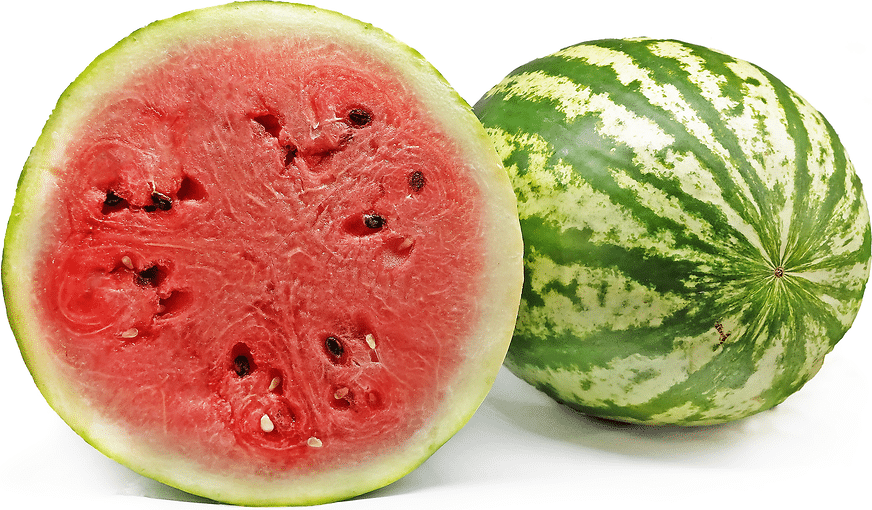 Vodní meloun červený