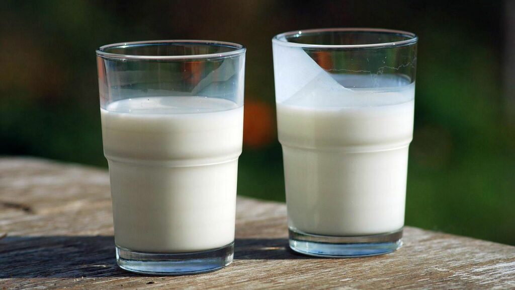 Rozdíl mezi mlékem a podmáslím, které jsou nalité ve sklenicích.