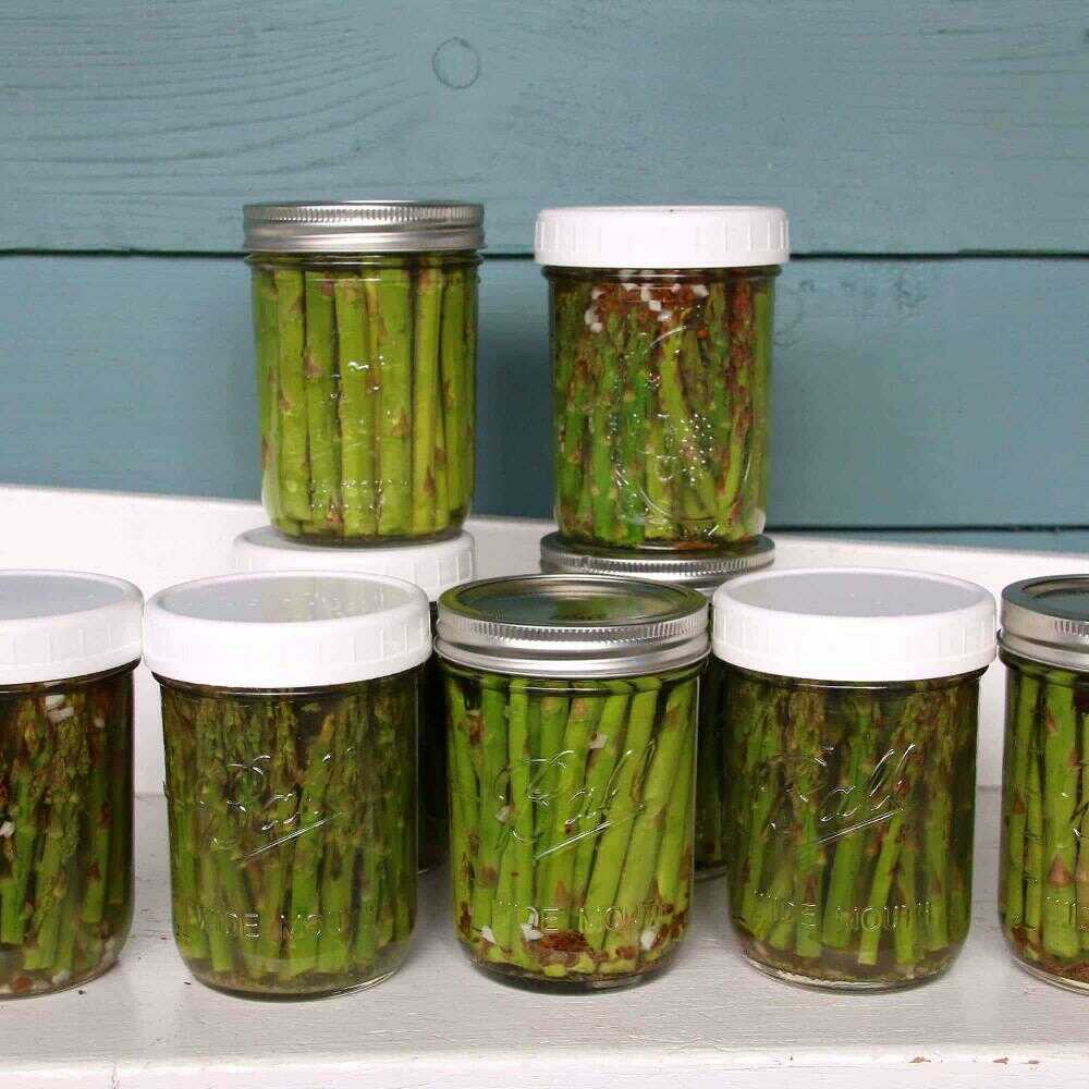 Green asparagus pickled in jars.