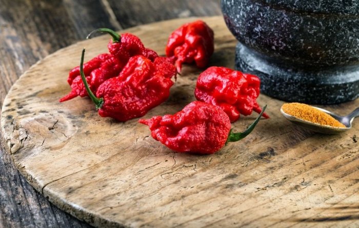 The hottest type of chili pepper, which is written in the book of records.