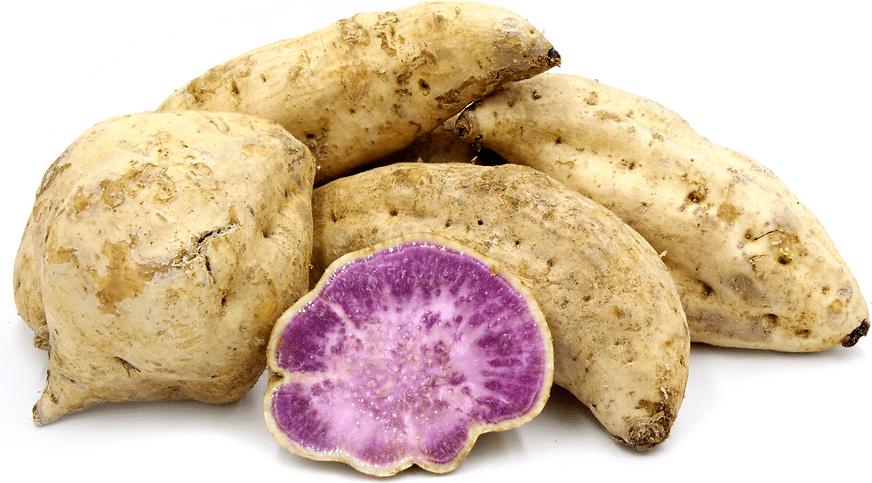 Sweet potatoes of the Okinawa variety