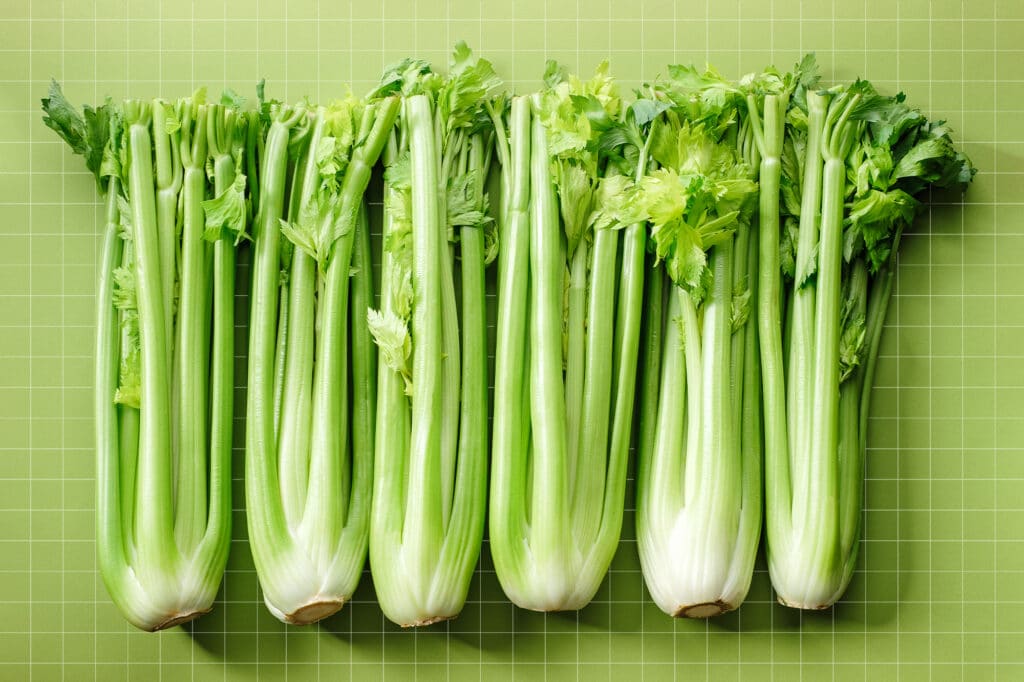 Celery several pieces