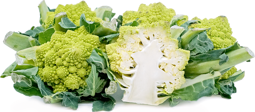 Cauliflower variety Romanesco