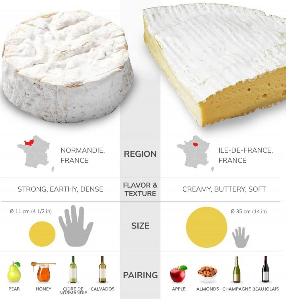 The difference between ermine and French camembert cheese.