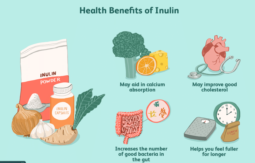Zdravotní benefity, které poskytuje škrob nazývaný inulin.