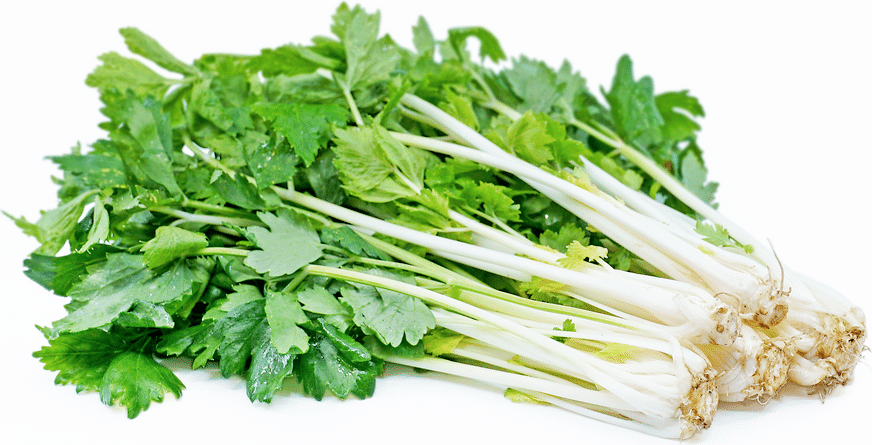 White stalked celery