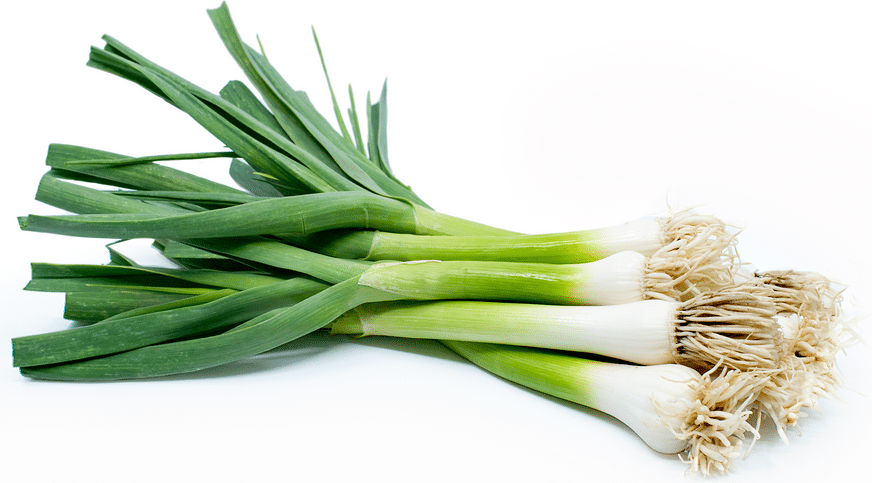 Green garlic whole on a white background