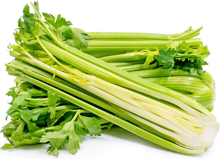 Green stalked celery