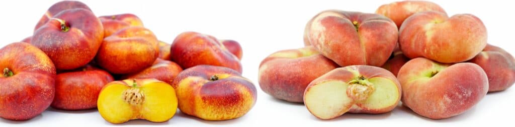 Donut Peaches and Nectarines