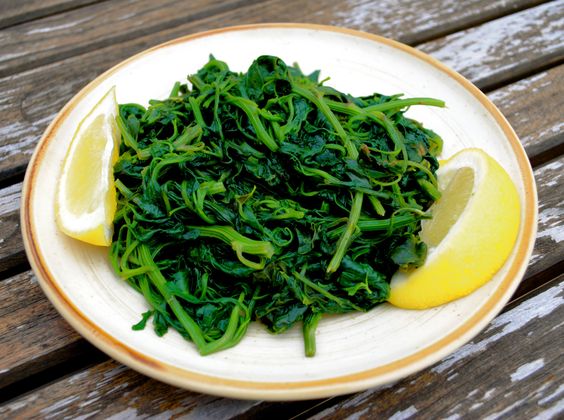 Zelený salát z léčivé bylinky.