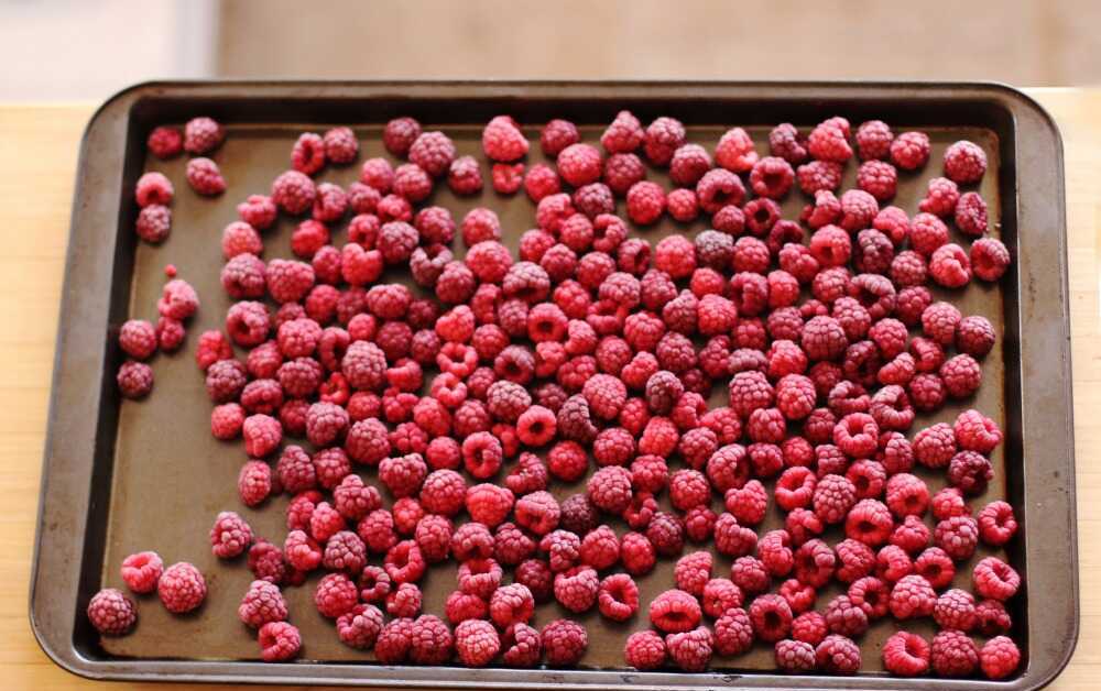 Raspberries laid out on a baking sheet with baking paper.