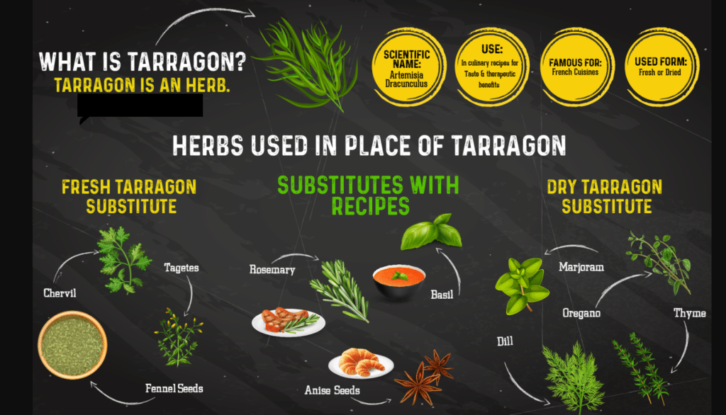 The most common herbs that can replace the taste of tarragon.